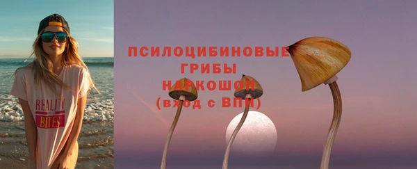 гашик Надым